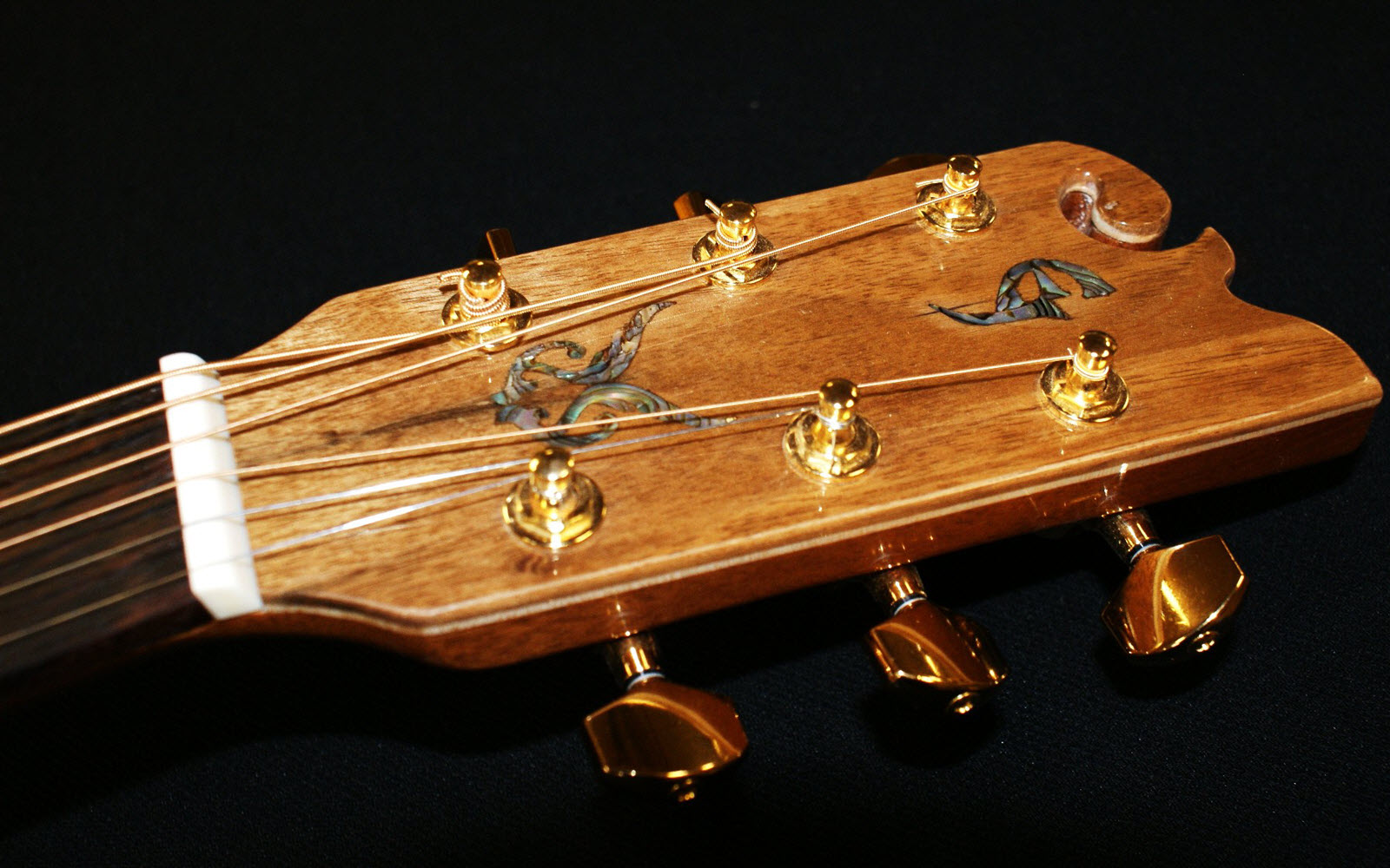 Handmade Custom Acoustic Guitars | Elijah Jewel Guitars
